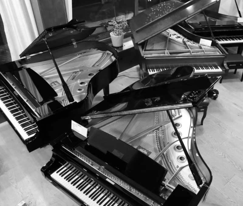 fortepianypasjasalon